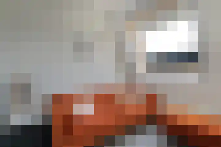 Hagenvoorde 31 Raalte thumbnail 30