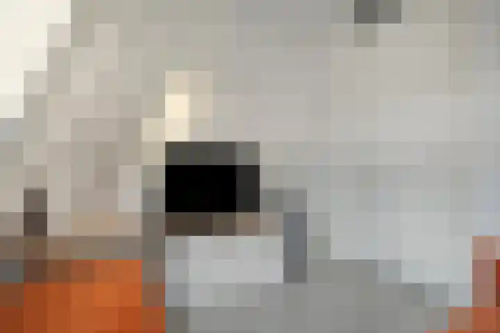 Hagenvoorde 31 Raalte thumbnail 31