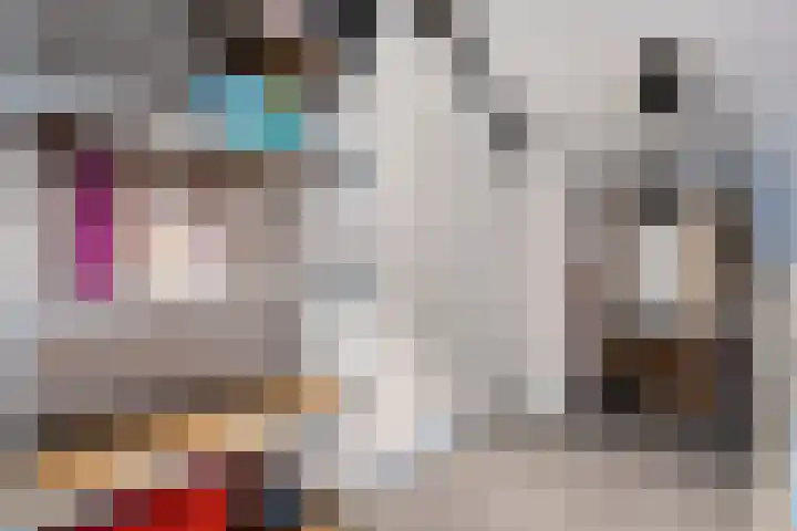 Hagenvoorde 31 Raalte thumbnail 35