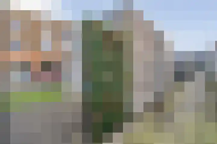 Hagenvoorde 31 Raalte thumbnail 40
