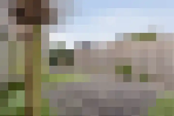 Hagenvoorde 31 Raalte thumbnail 41
