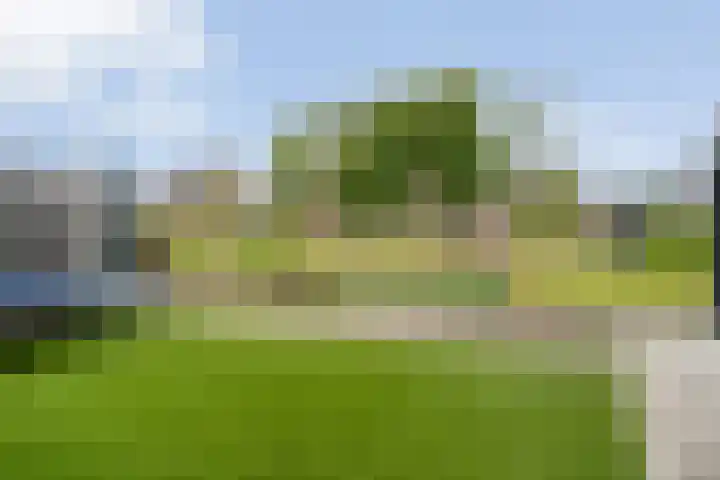 Hagenvoorde 33 Raalte thumbnail 31