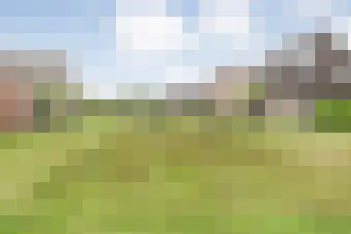 Hagenvoorde 33 Raalte thumbnail 37