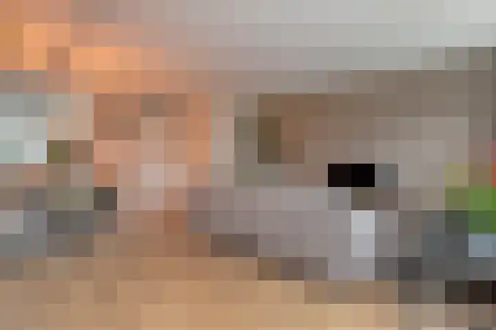 Hagenvoorde 33 Raalte thumbnail 8