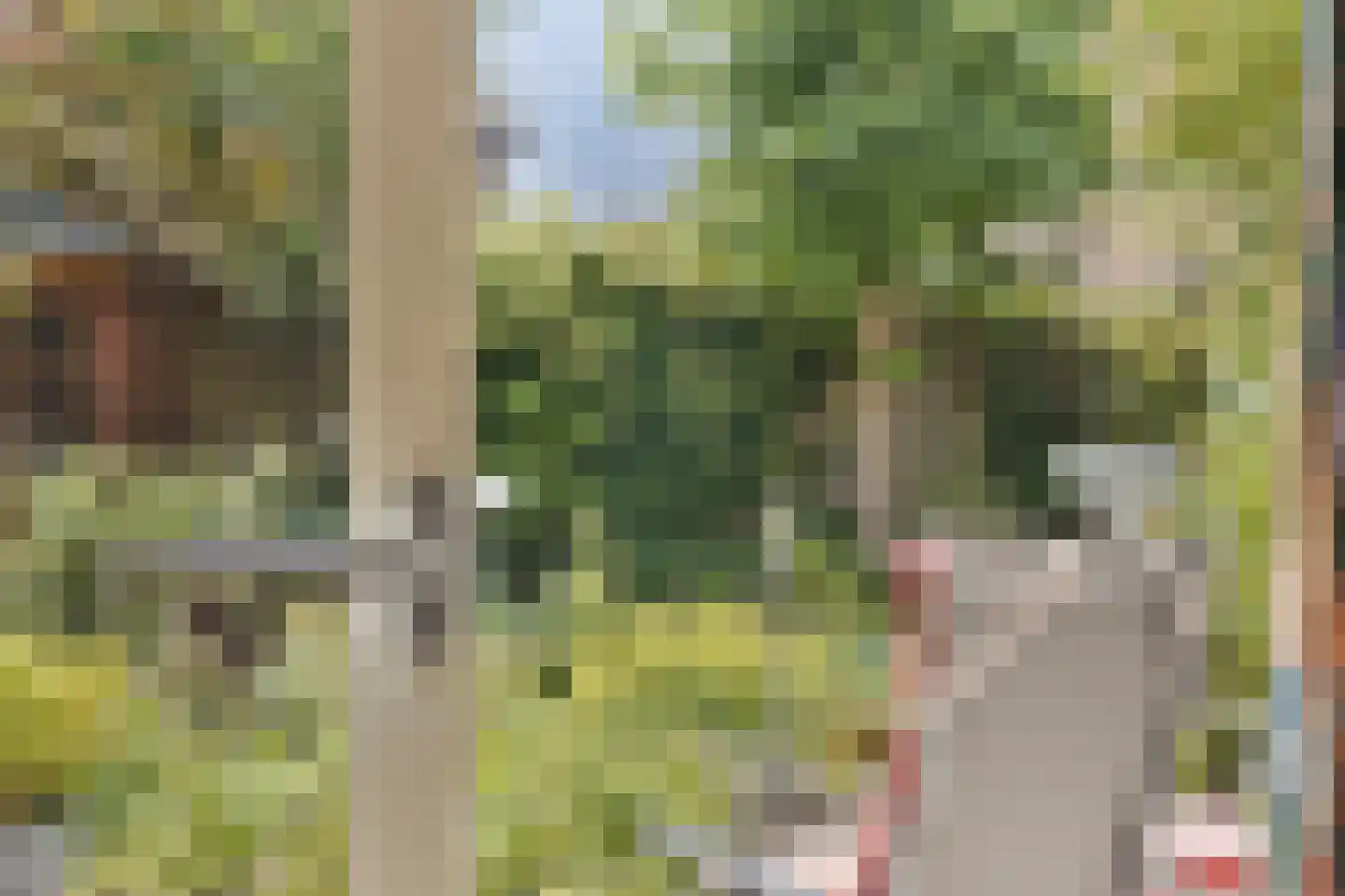 Hagenvoorde 5 Losser thumbnail 13