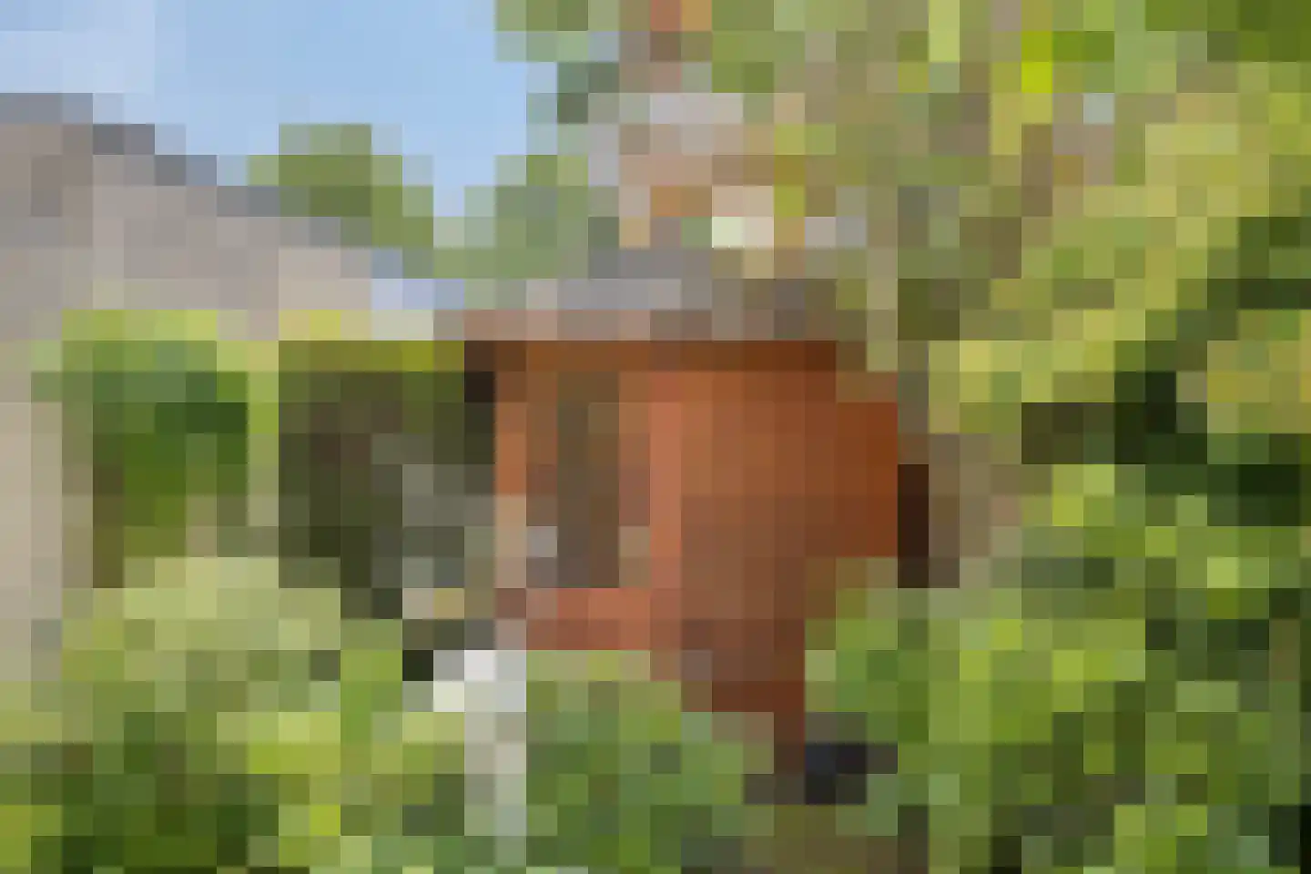 Hagenvoorde 5 Losser thumbnail 33
