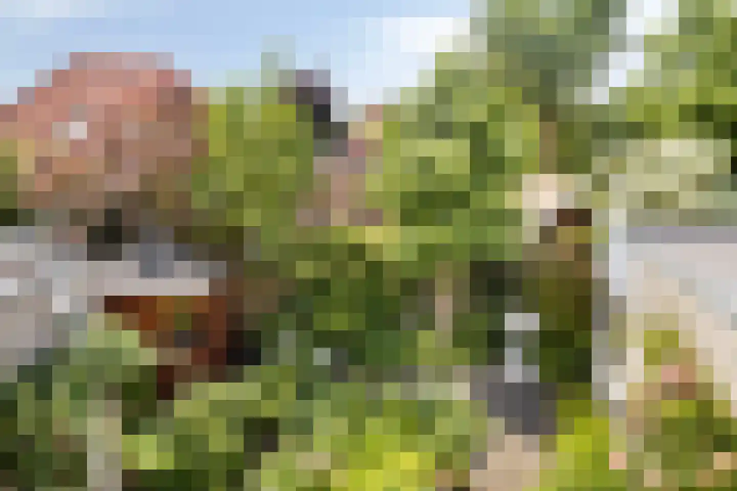 Hagenvoorde 5 Losser thumbnail 35