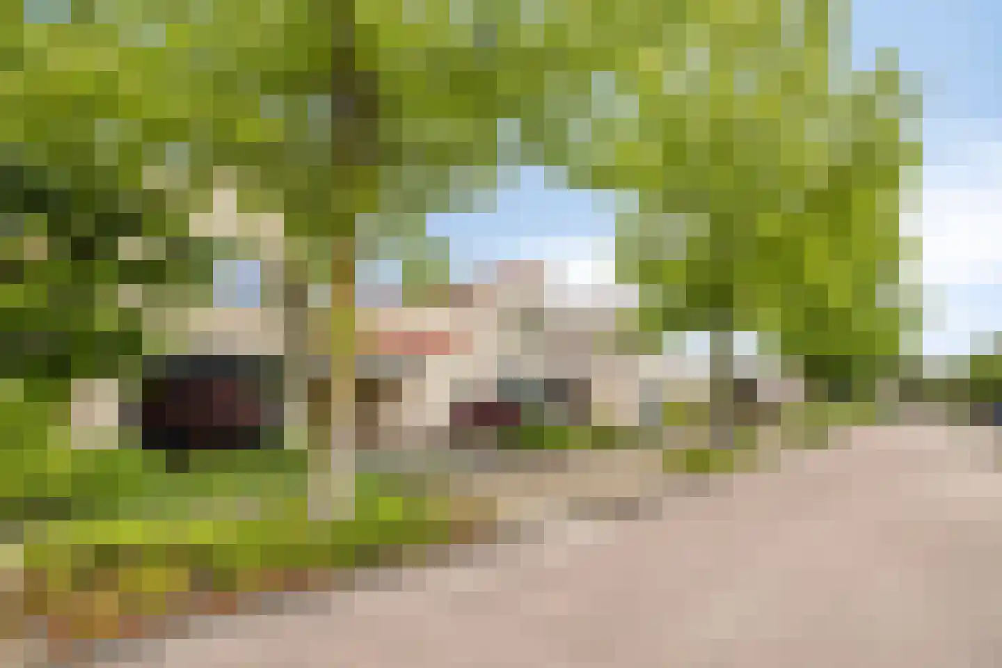 Hagenvoorde 5 Losser thumbnail 4