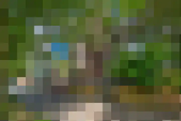 Hagepreekgang 11 Middelburg thumbnail 4