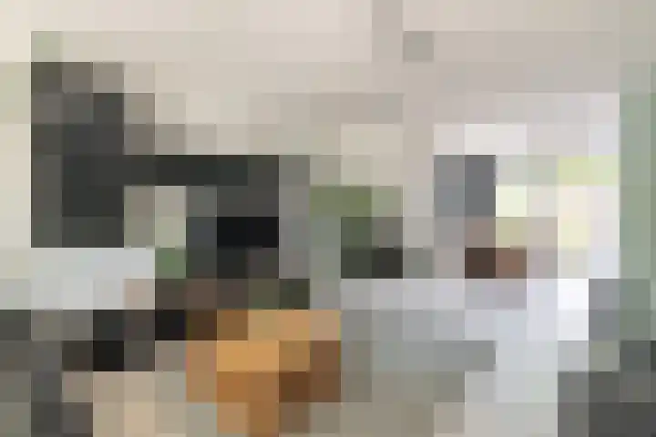 Hagepreekland 34 Houten thumbnail 10