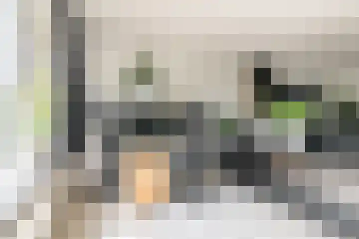 Hagepreekland 34 Houten thumbnail 12