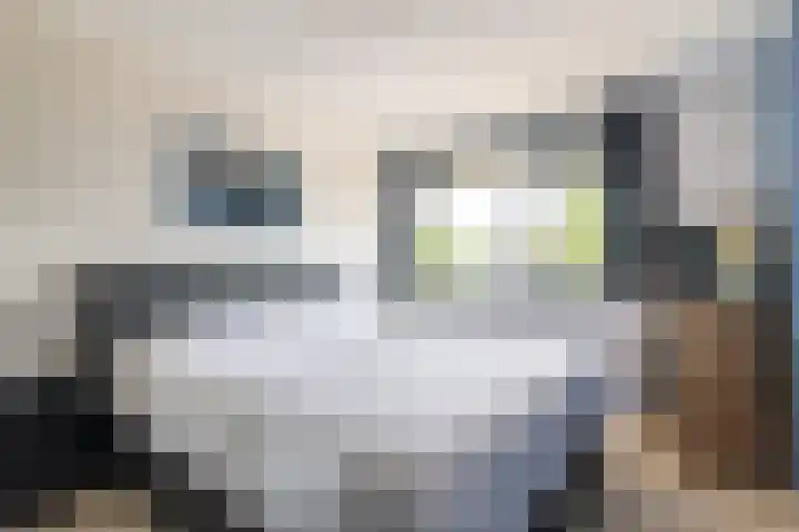 Hagepreekland 34 Houten thumbnail 20