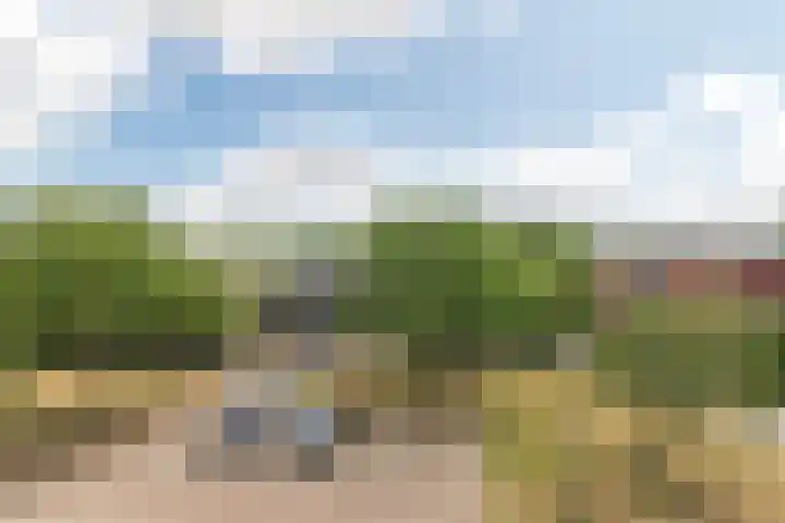 Hagepreekland 34 Houten thumbnail 34