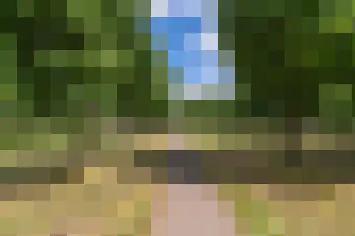 Hagepreekland 34 Houten thumbnail 35