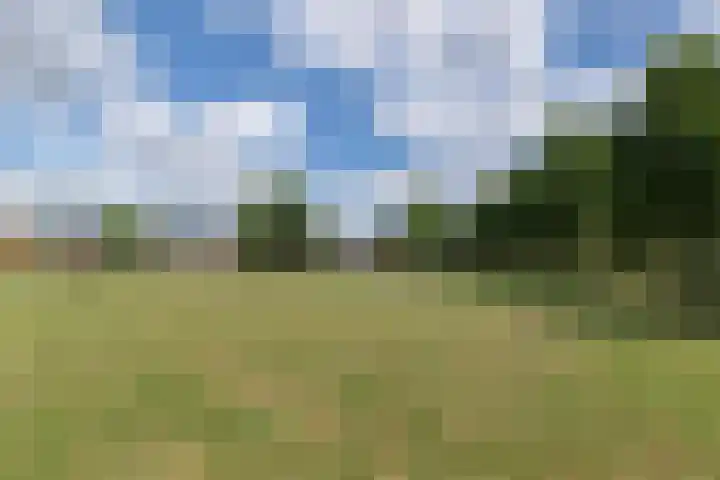 Hagepreekland 34 Houten thumbnail 36
