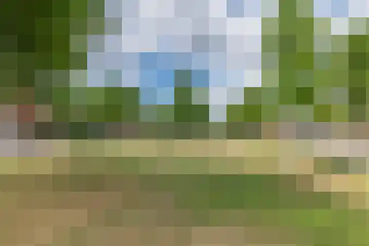 Hagepreekland 34 Houten thumbnail 37