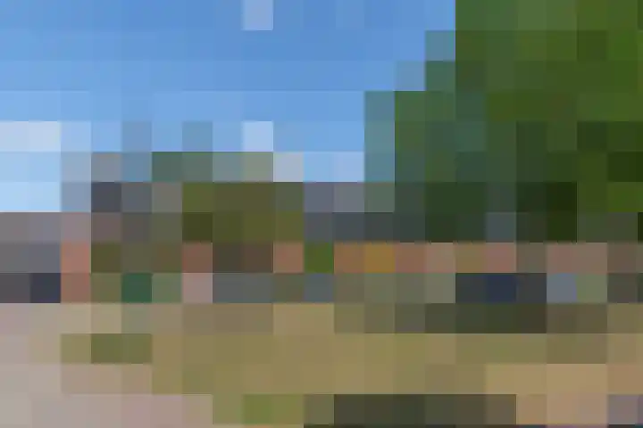 Hagepreekland 34 Houten thumbnail 4
