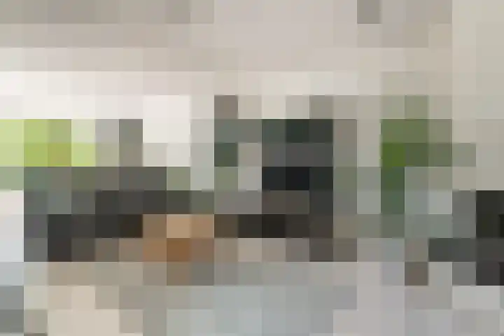 Hagepreekland 34 Houten thumbnail 9