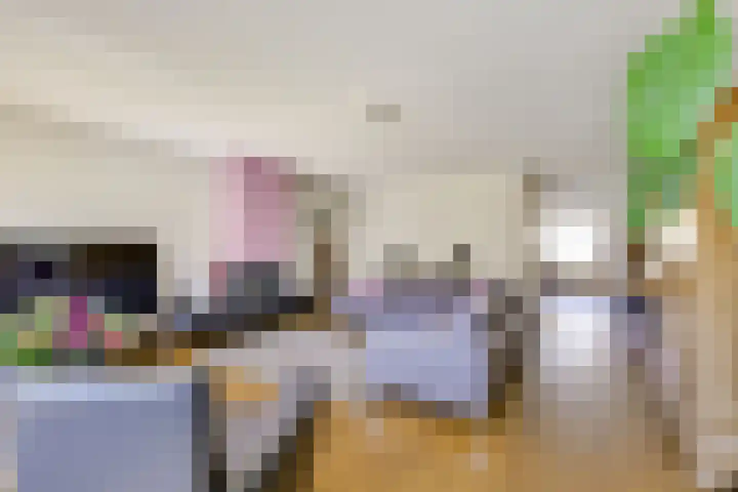 Hagepreekland 4 Houten thumbnail 14