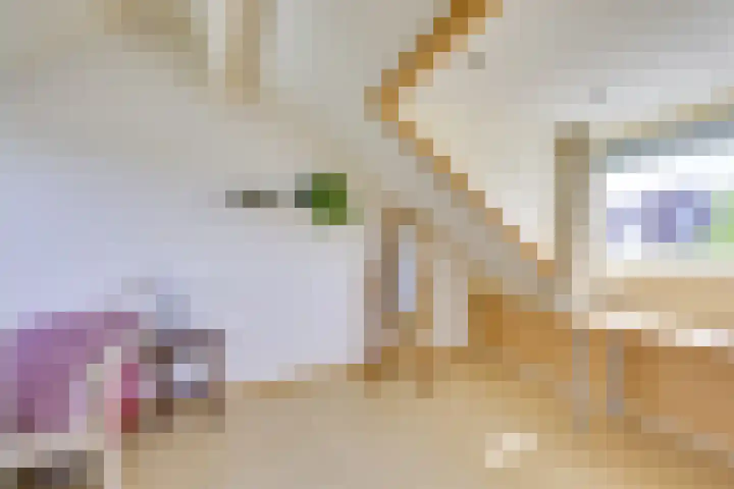 Hagepreekland 4 Houten thumbnail 38