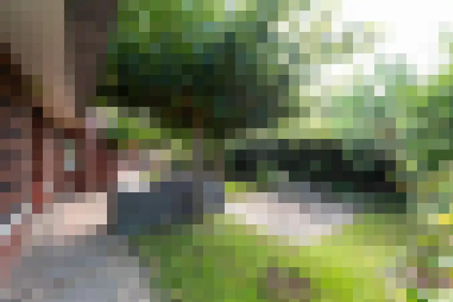 Hagepreekland 51 Houten thumbnail 24