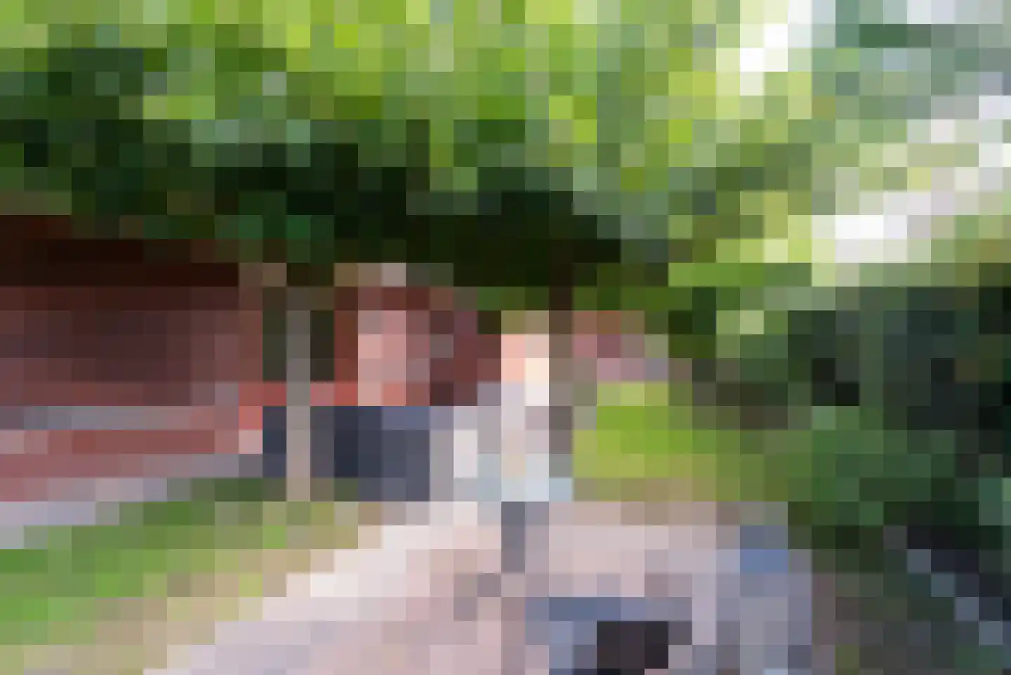 Hagepreekland 51 Houten thumbnail 25