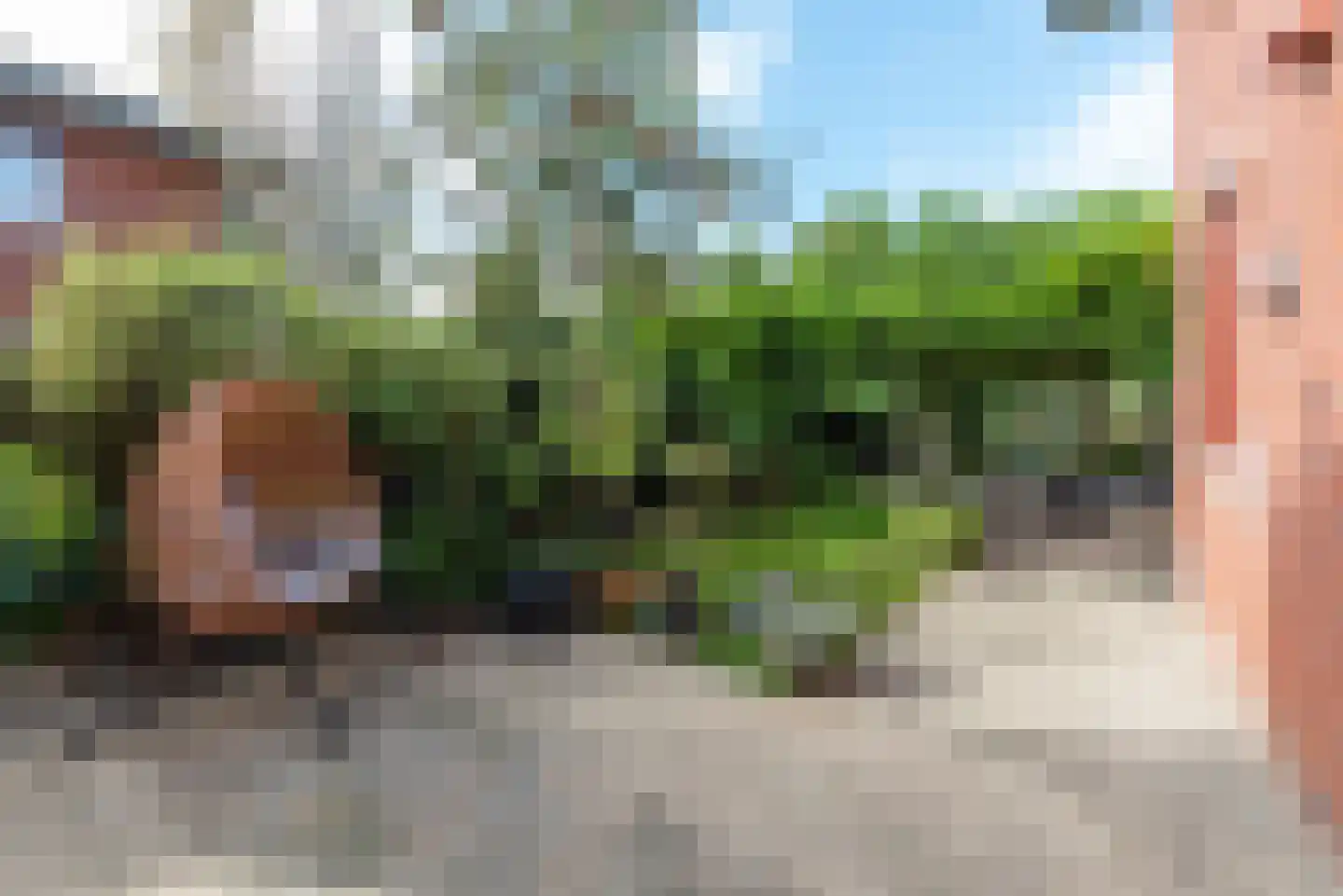 Hagepreekland 51 Houten thumbnail 27