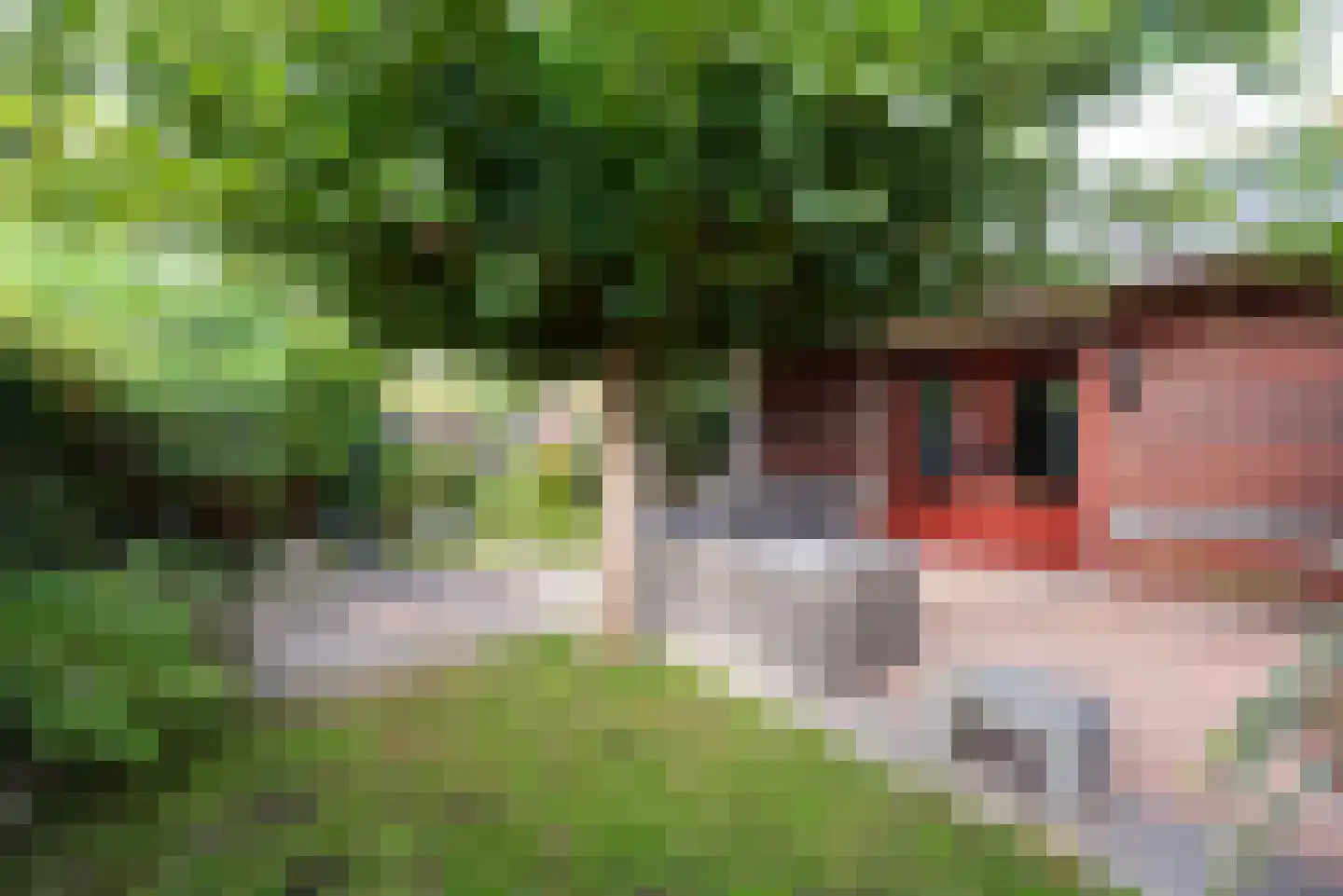 Hagepreekland 51 Houten thumbnail 28
