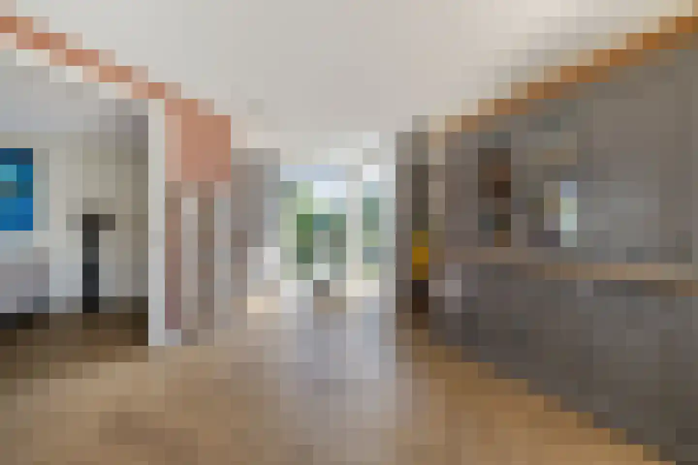 Hagerank 9 Wijnjewoude thumbnail 11