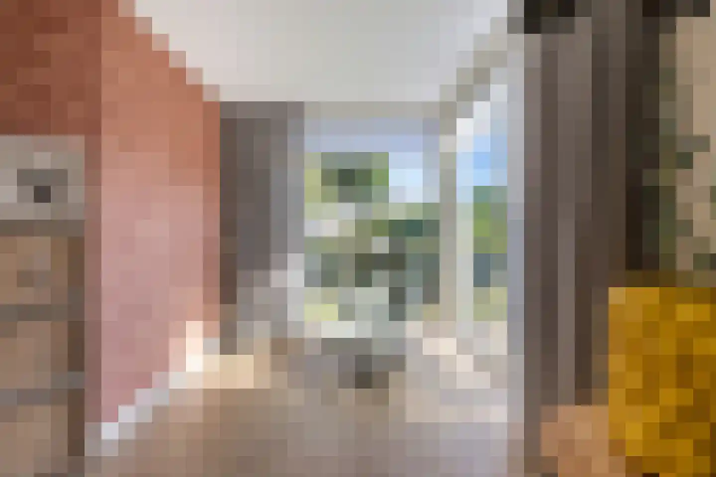 Hagerank 9 Wijnjewoude thumbnail 12