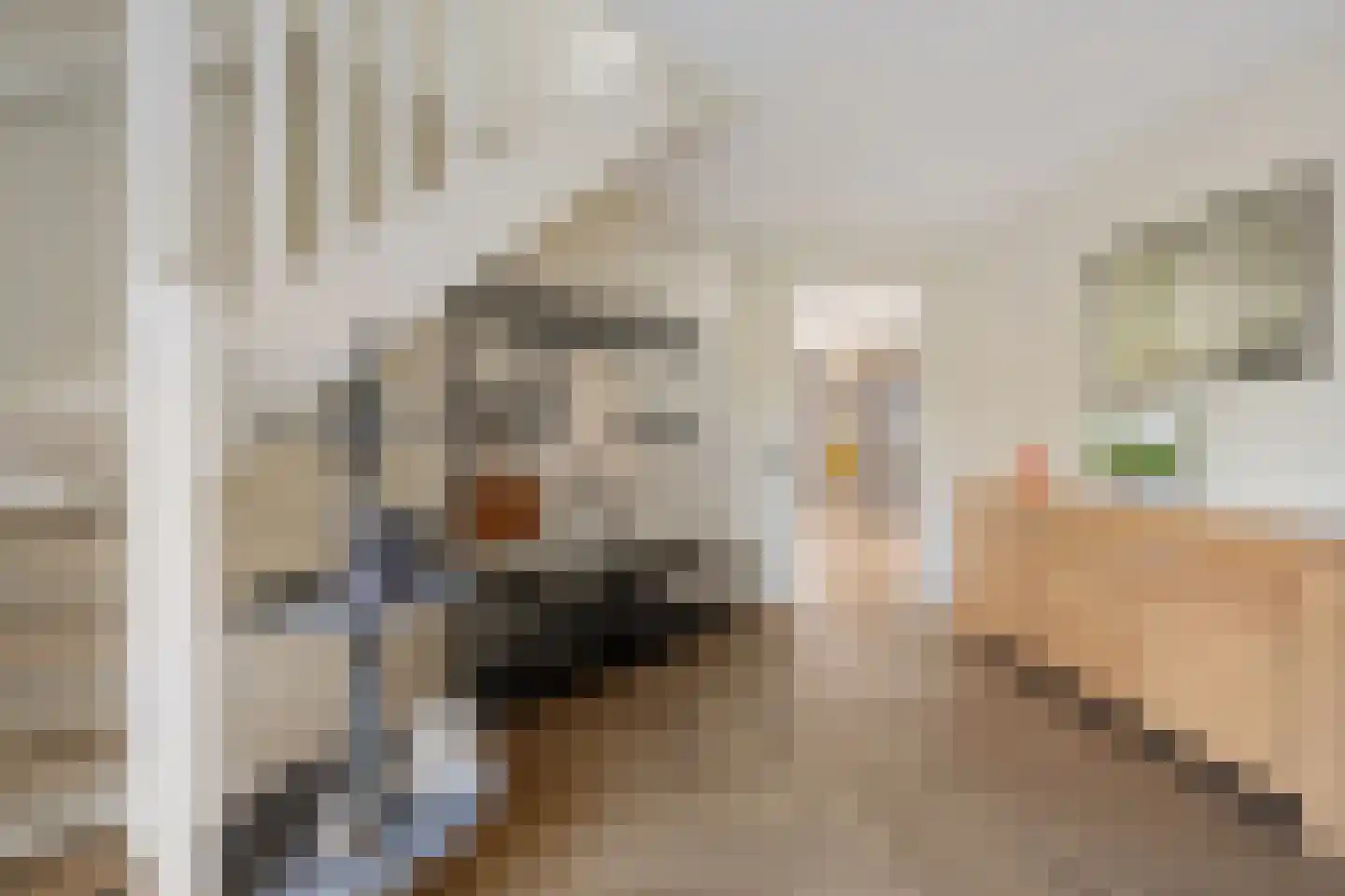 Hagerank 9 Wijnjewoude thumbnail 17