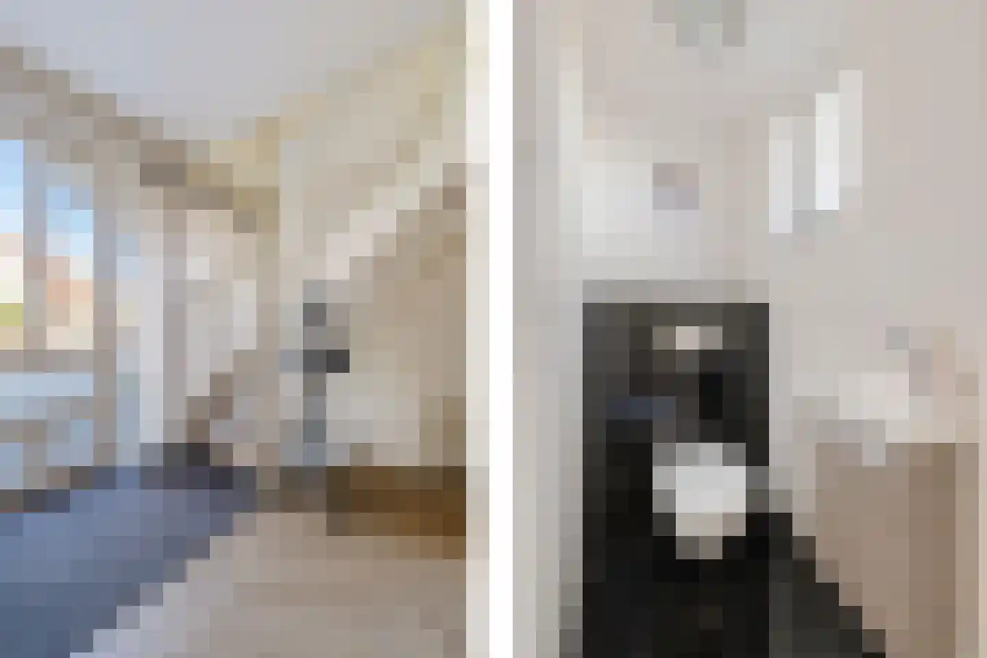 Hagerank 9 Wijnjewoude thumbnail 20
