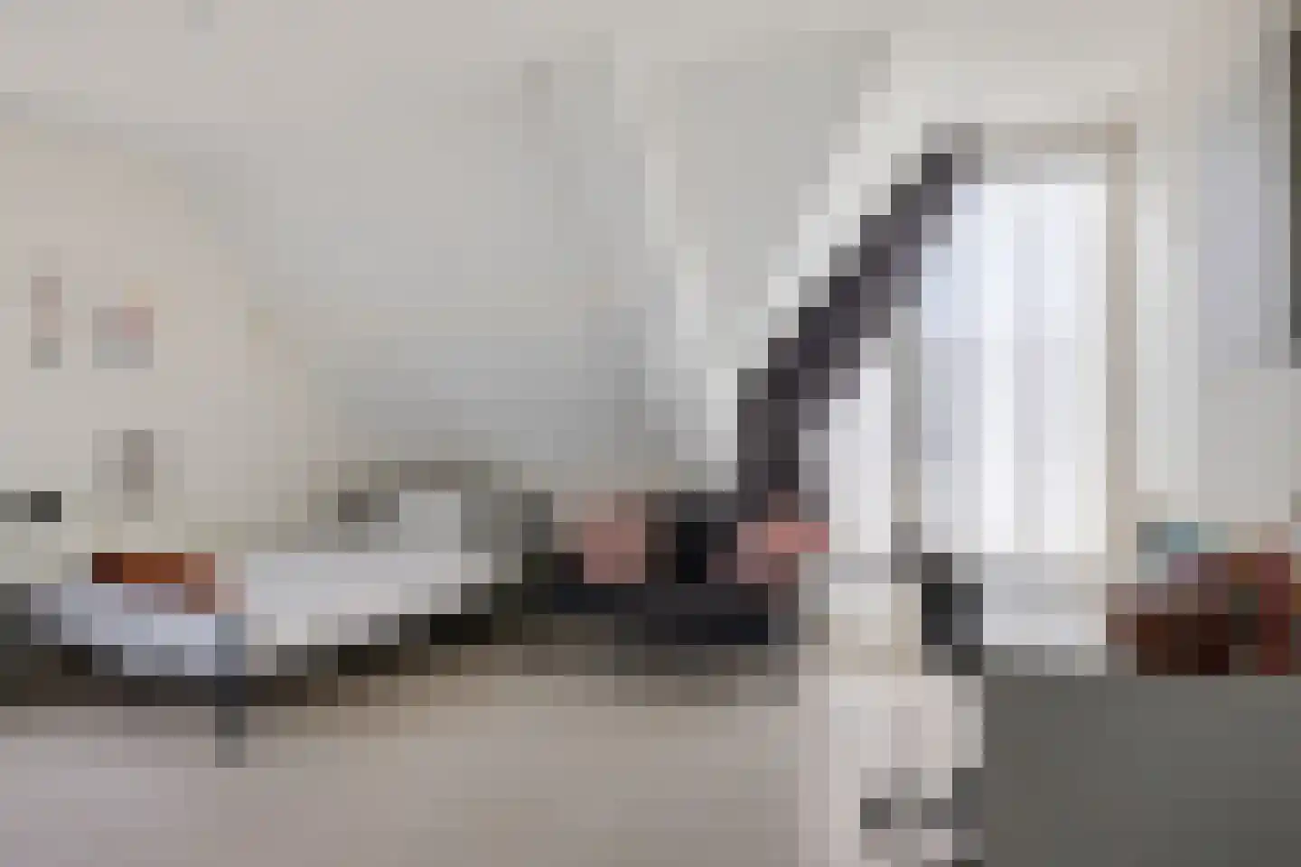Hagerank 9 Wijnjewoude thumbnail 24