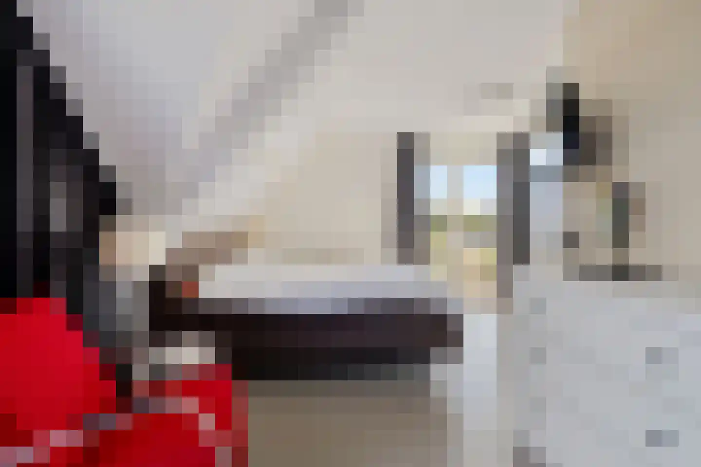 Hagerank 9 Wijnjewoude thumbnail 29
