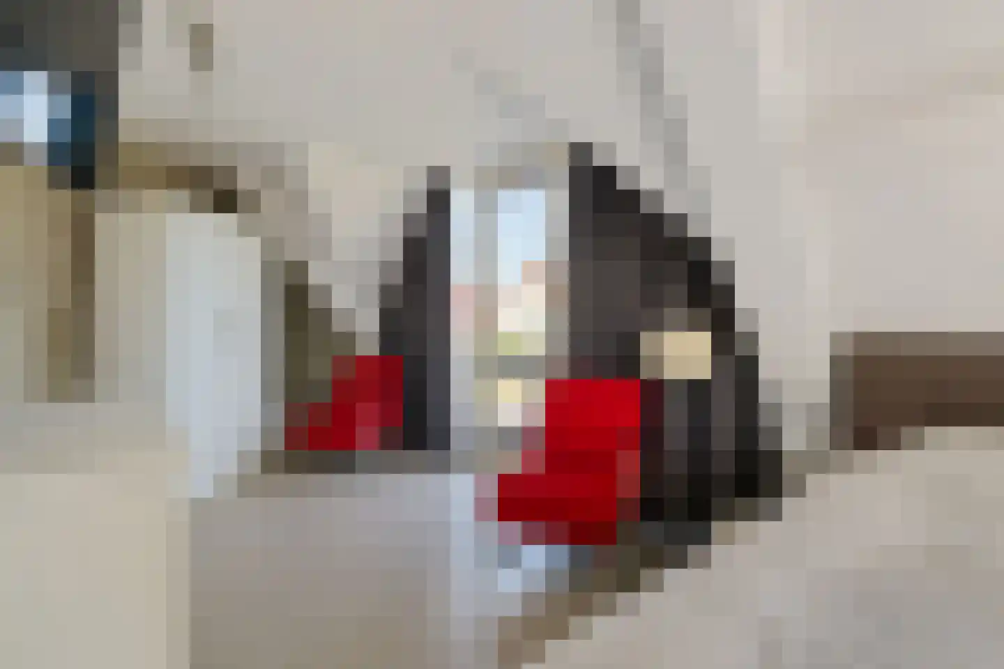 Hagerank 9 Wijnjewoude thumbnail 30