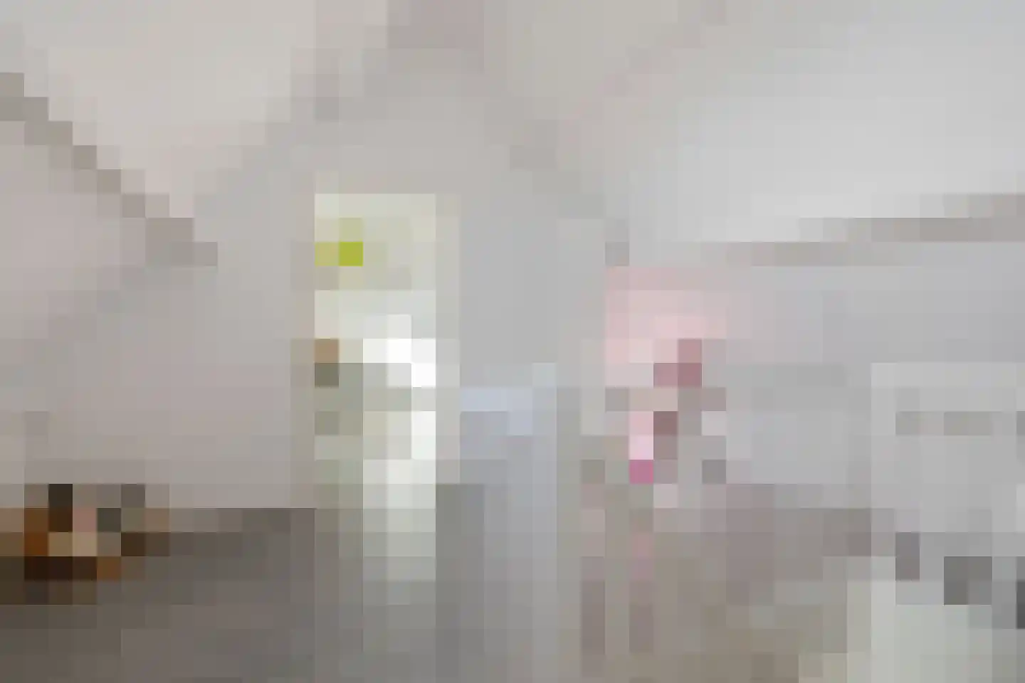 Hagerank 9 Wijnjewoude thumbnail 34