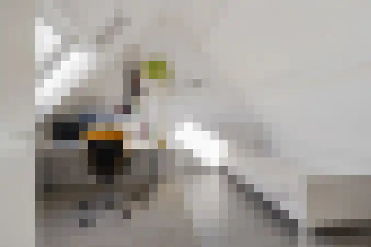 Hagerank 9 Wijnjewoude thumbnail 35
