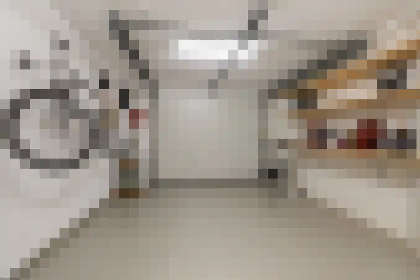 Hagerank 9 Wijnjewoude thumbnail 36