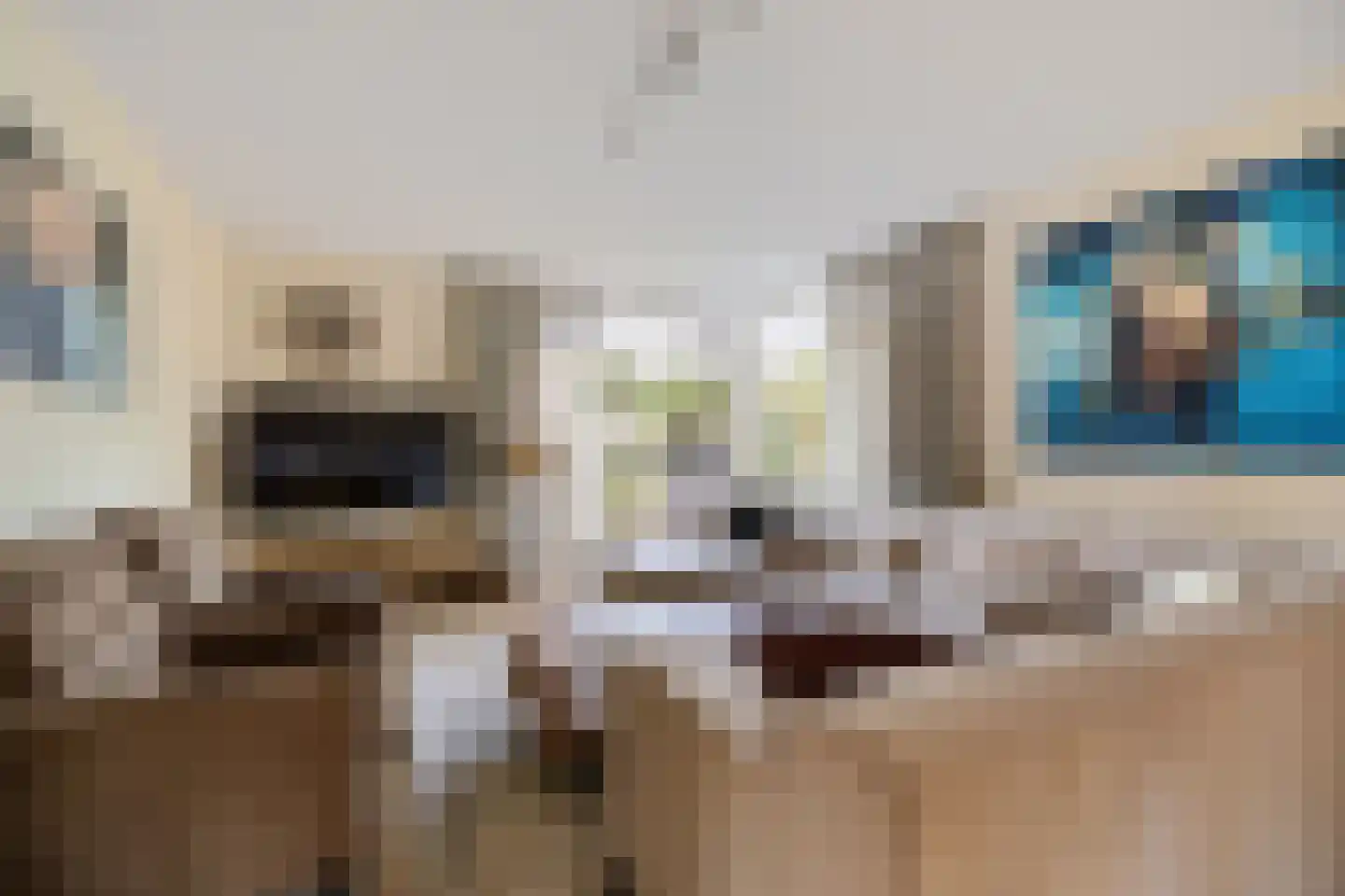 Hagerank 9 Wijnjewoude thumbnail 4