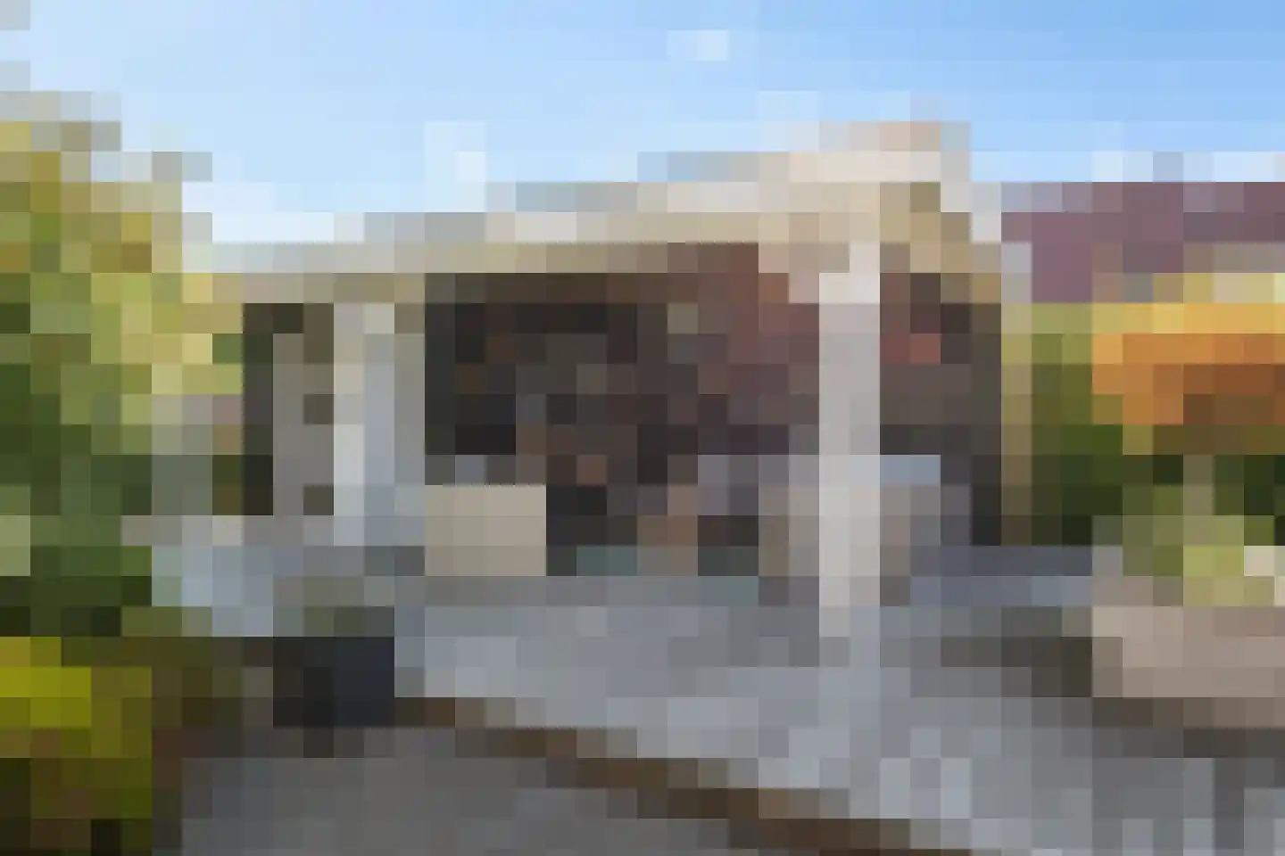 Hagerank 9 Wijnjewoude thumbnail 40