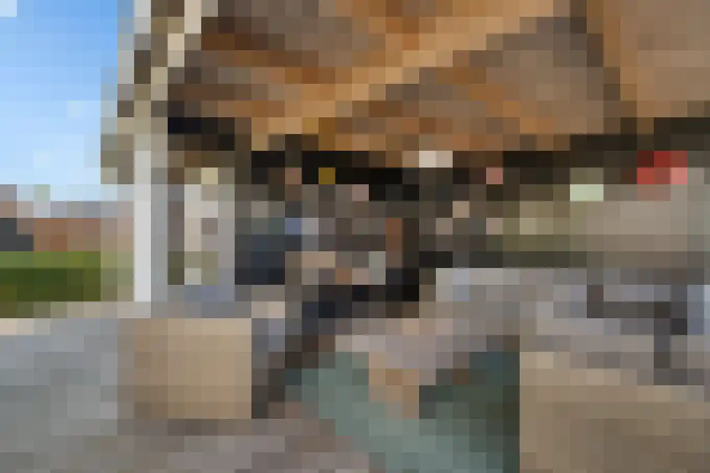 Hagerank 9 Wijnjewoude thumbnail 42