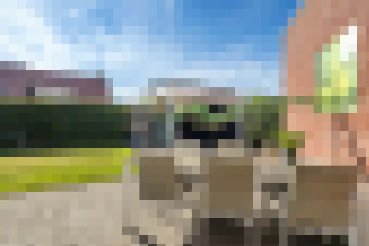 Hagerank 9 Wijnjewoude thumbnail 45