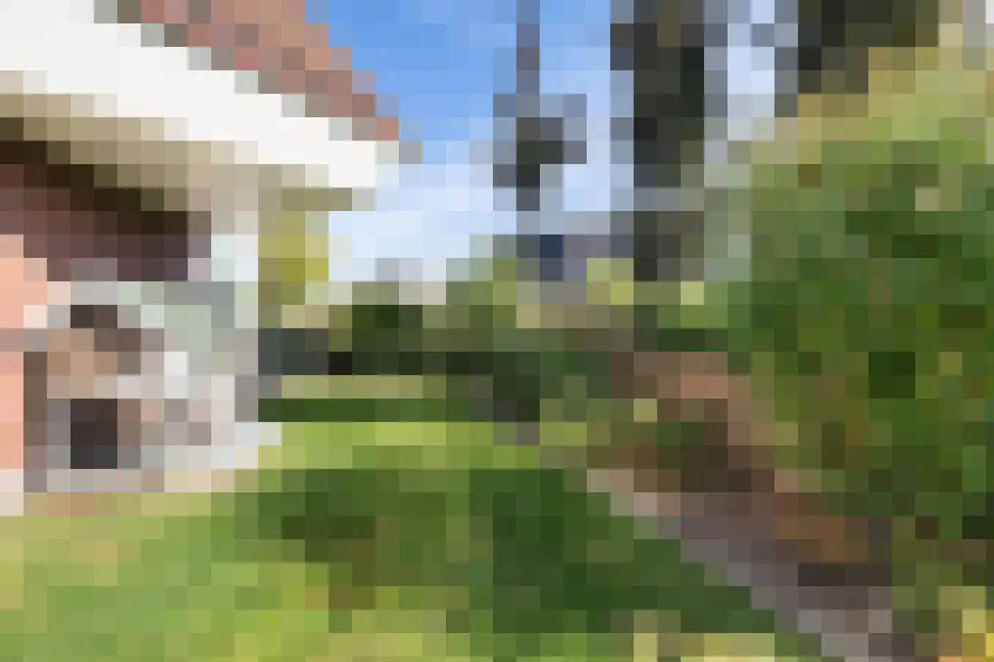 Hagerank 9 Wijnjewoude thumbnail 46