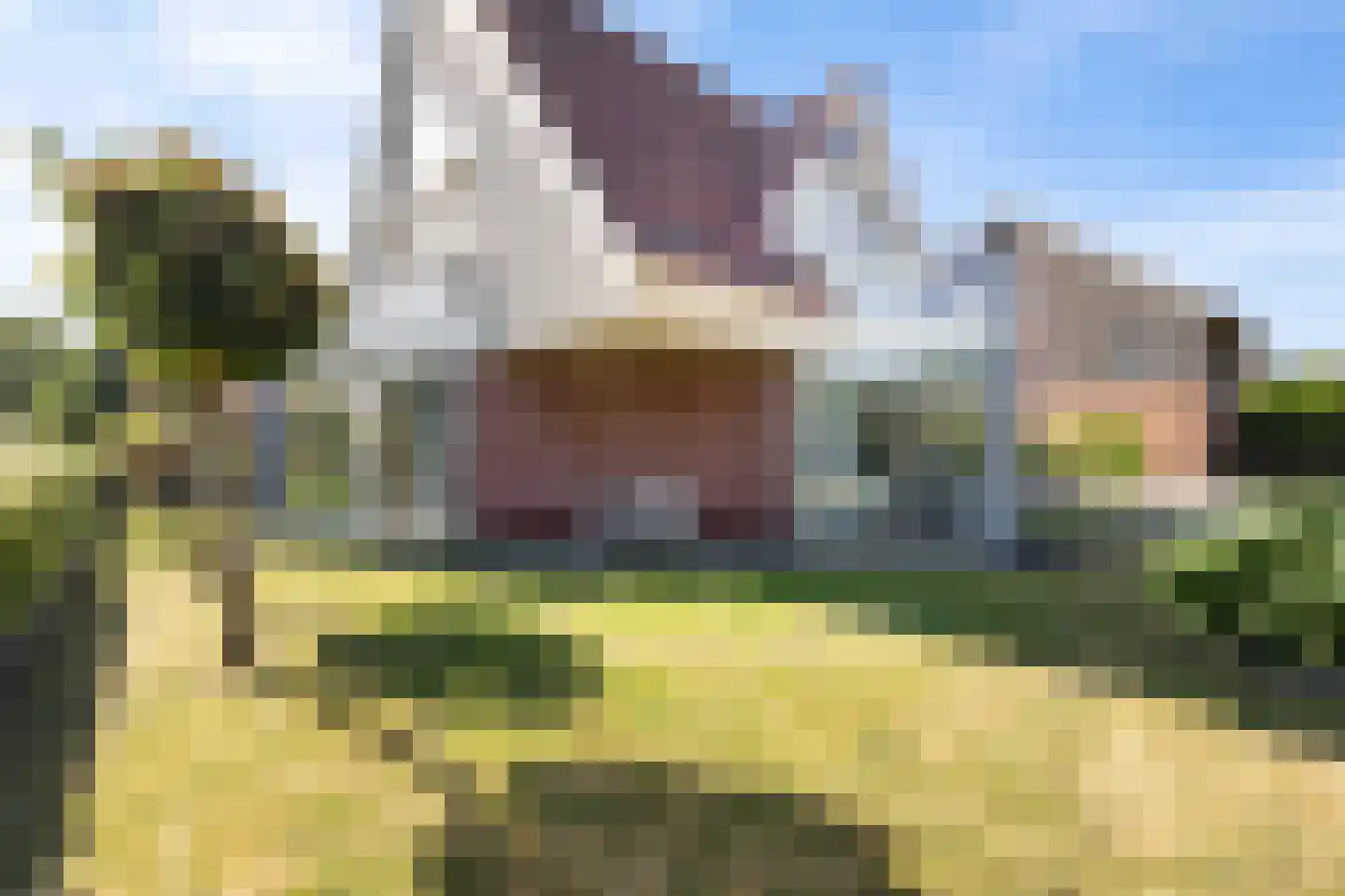 Hagerank 9 Wijnjewoude thumbnail 49