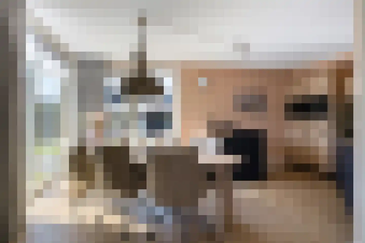 Hagerank 9 Wijnjewoude thumbnail 5