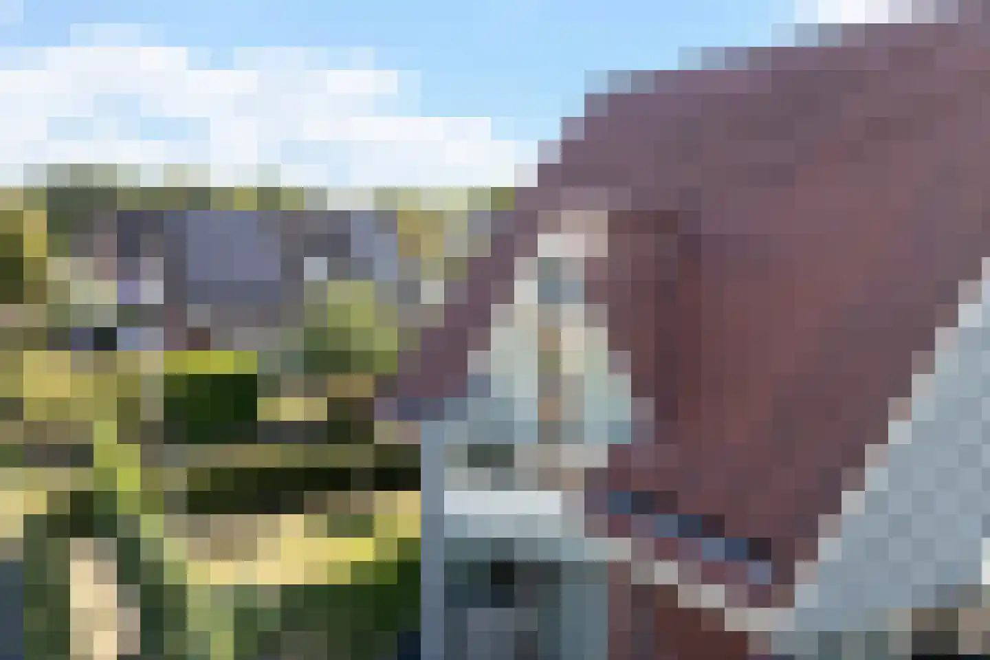 Hagerank 9 Wijnjewoude thumbnail 52