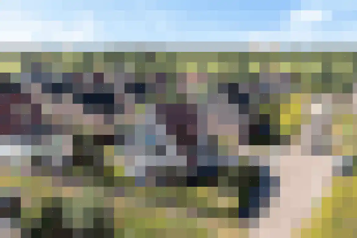 Hagerank 9 Wijnjewoude thumbnail 54