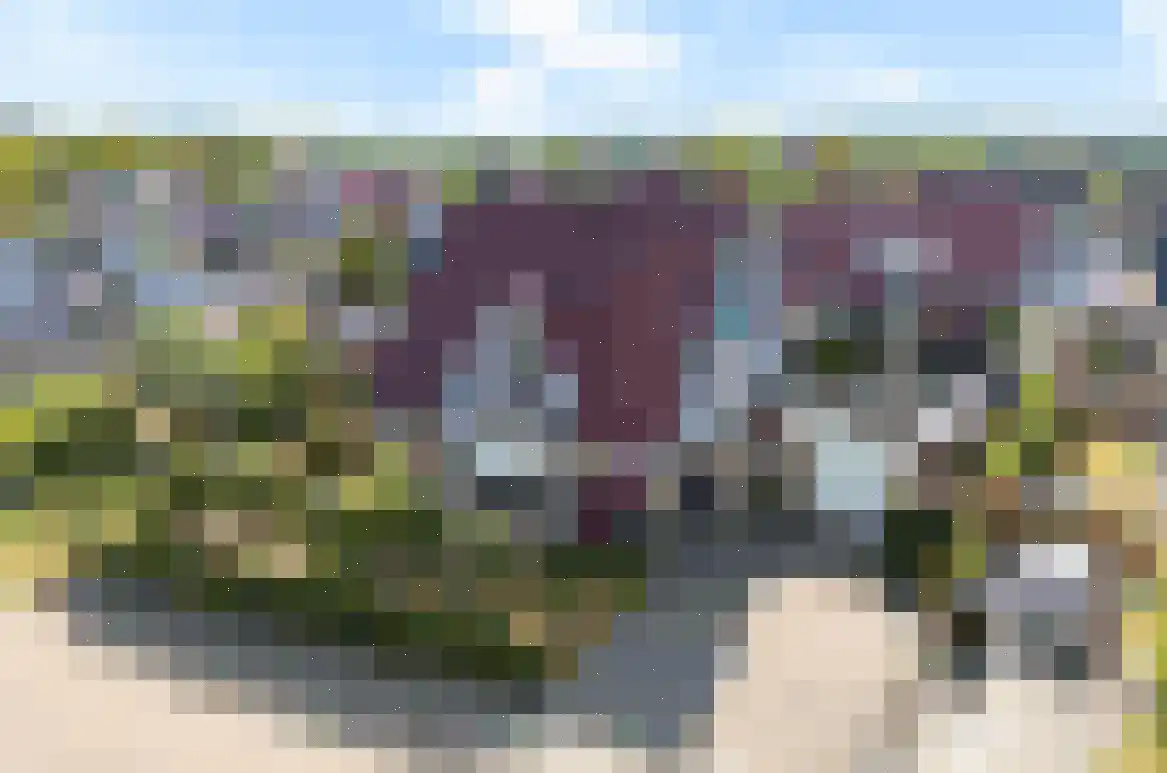 Hagerank 9 Wijnjewoude thumbnail 55