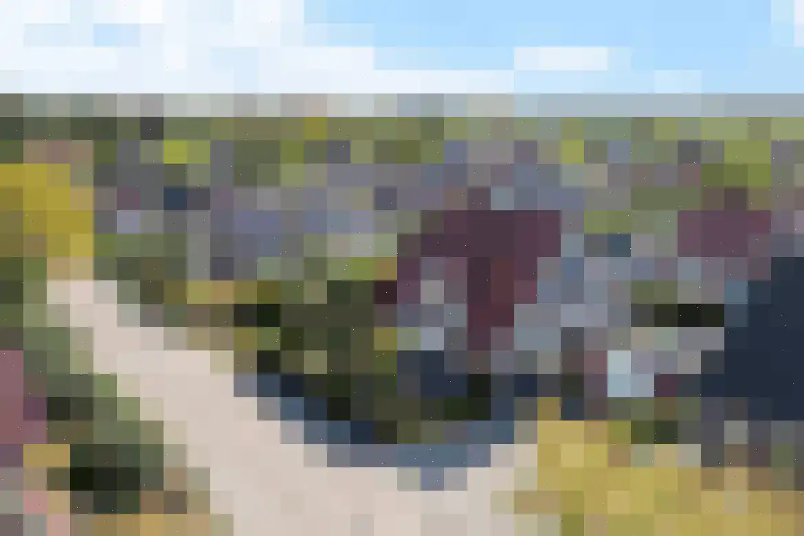 Hagerank 9 Wijnjewoude thumbnail 56