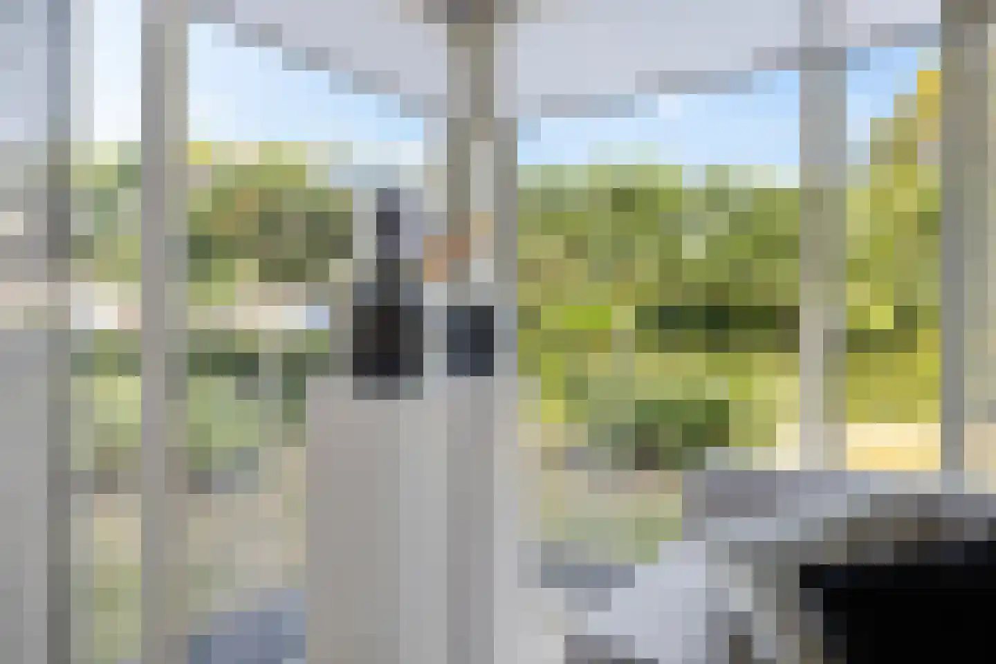 Hagerank 9 Wijnjewoude thumbnail 9
